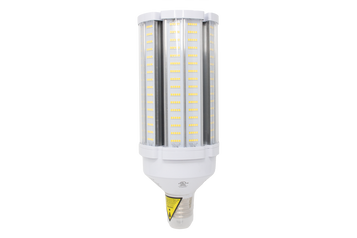 Corn Bulb front facing