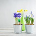 Green Moisture meter in potted plant