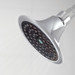 Chrome Sava Spa Showerhead on shower wall