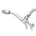 Multifunction Handshower angled down