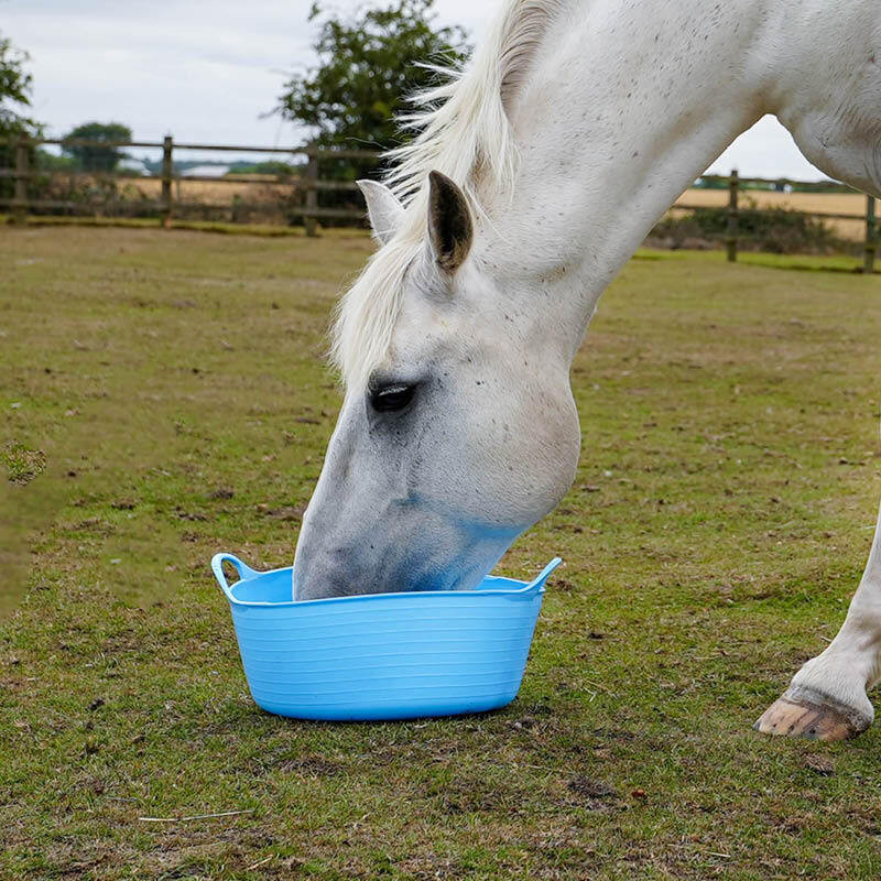 Buckets, Trugs & Feed Bowls