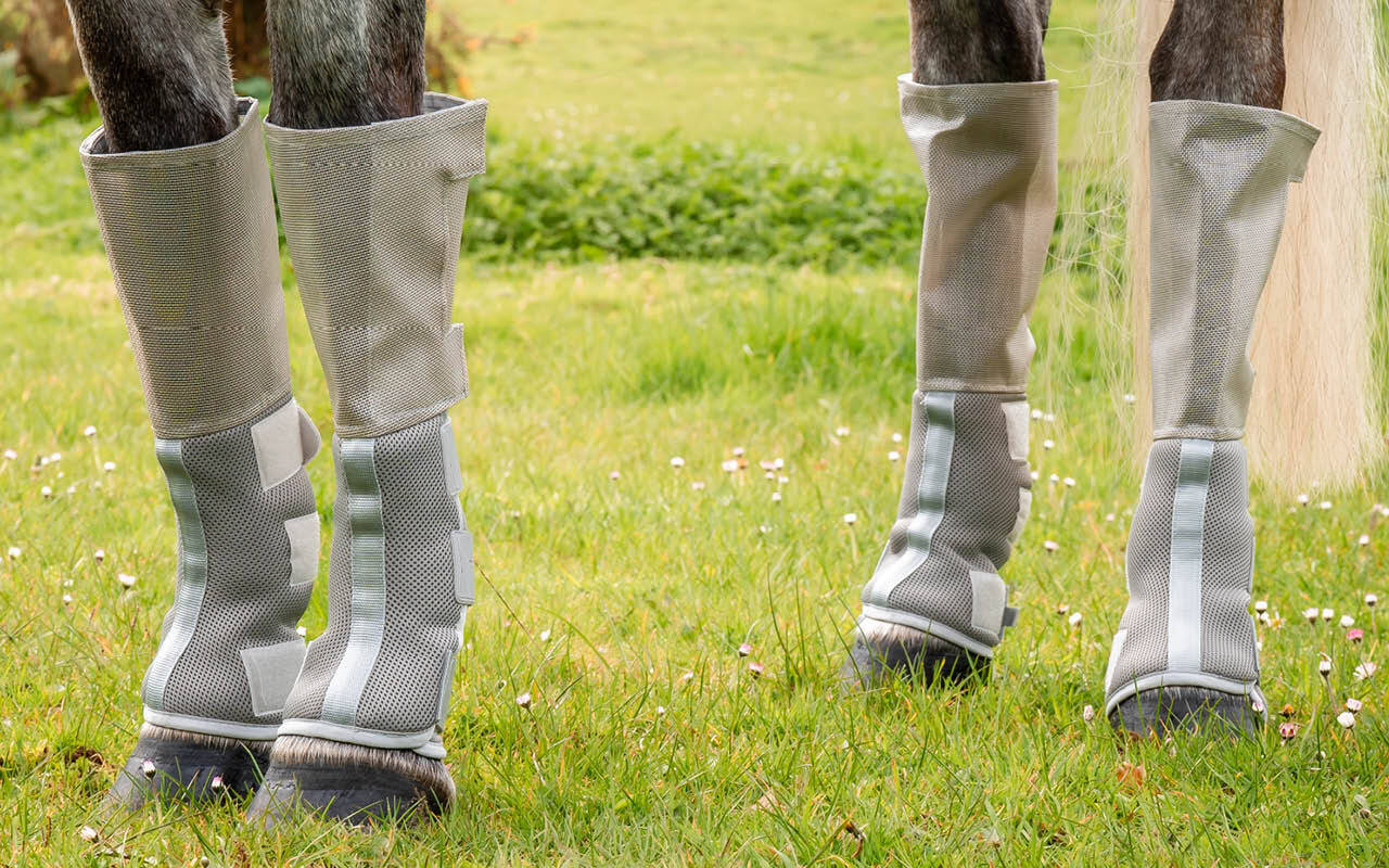 Stable & Turnout Boots