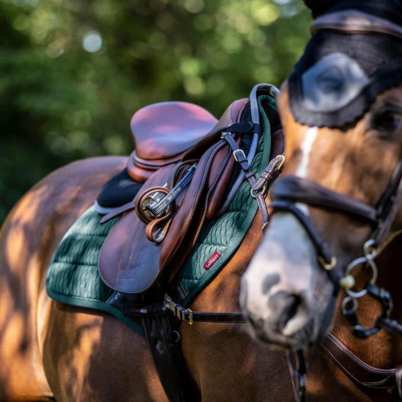 Tack & Saddlery