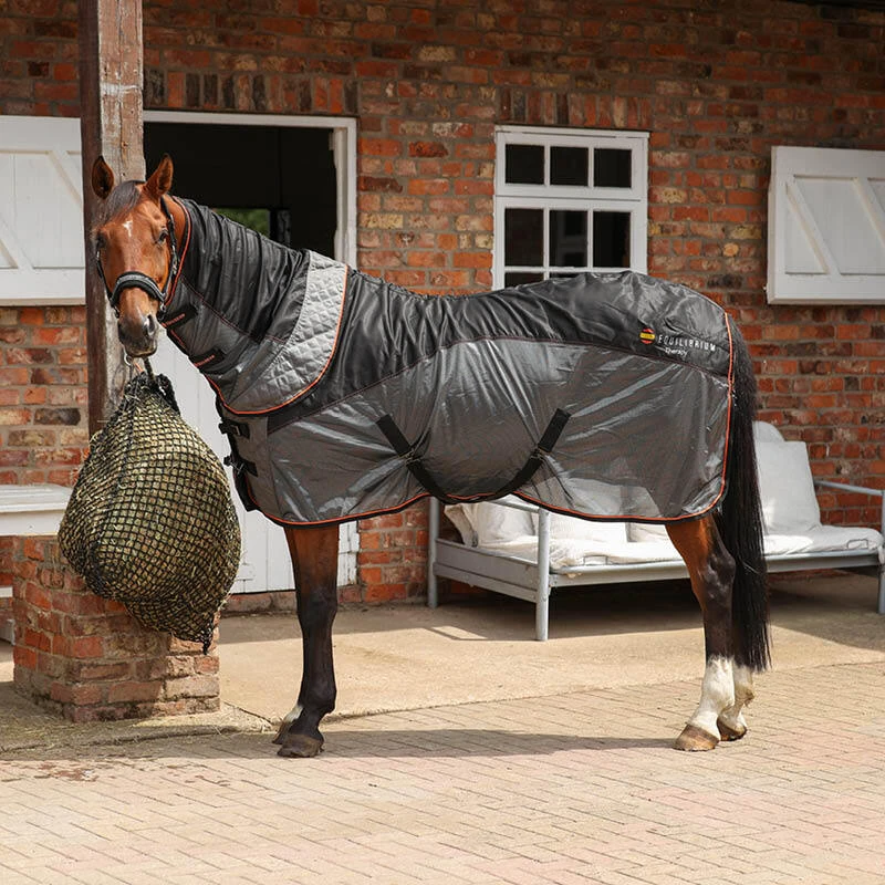 Therapy Rugs
