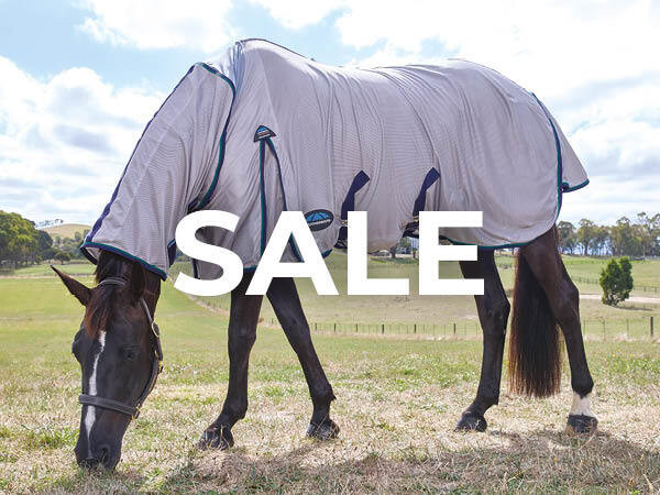 Sale Horse Rugs