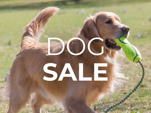Dog Sale