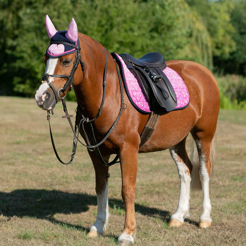 Pony