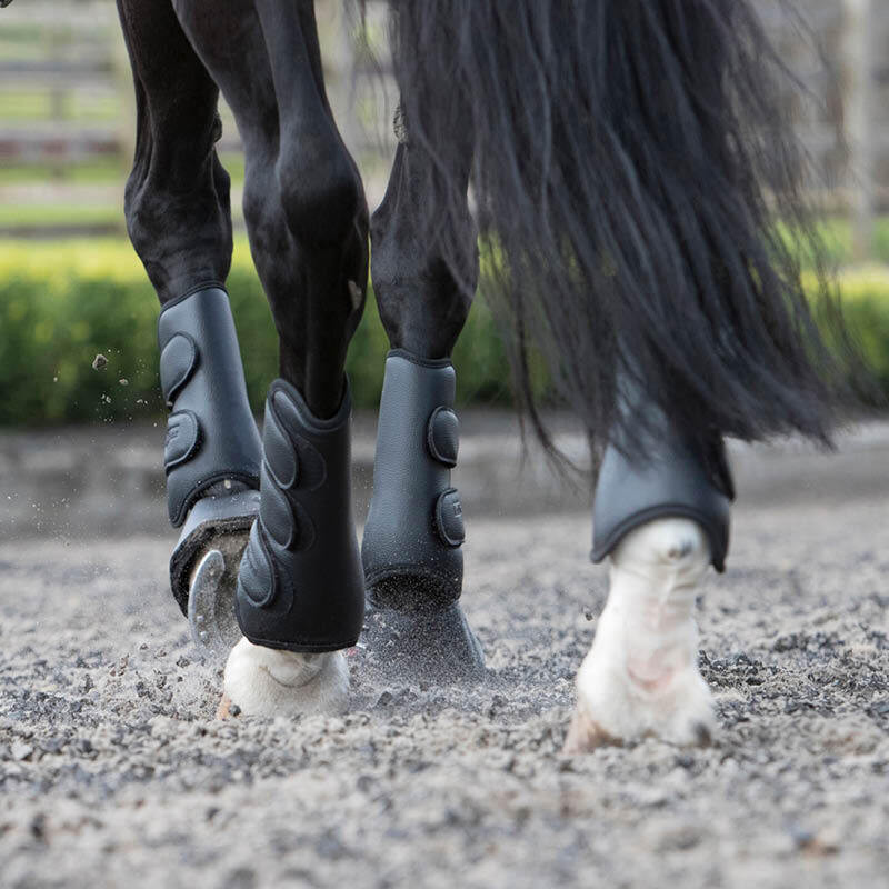 Horse Boots & Bandages