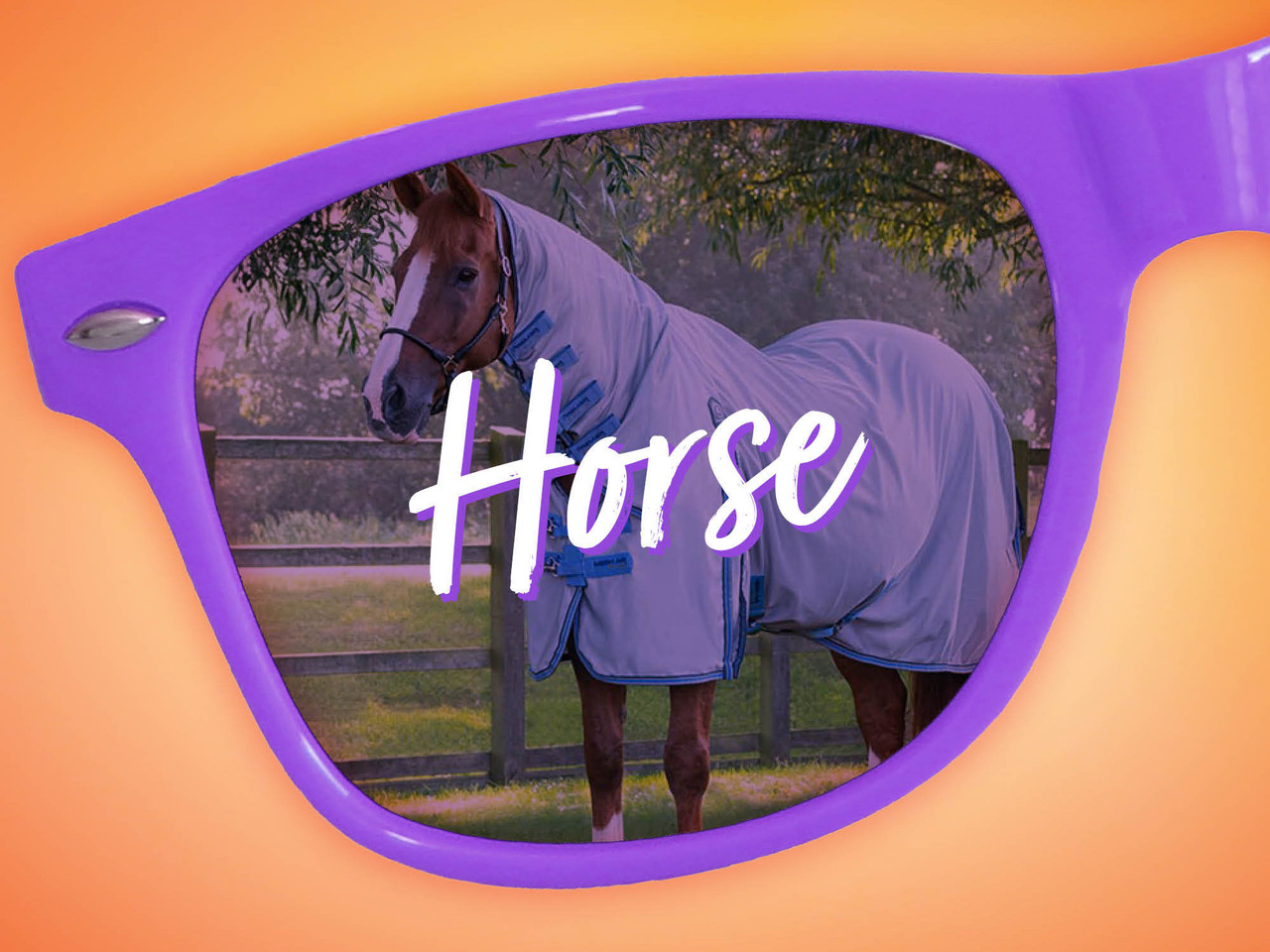 Horse Sale