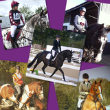 Meet the County & Stable team