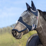 What does a fly mask do, and does my horse need one?