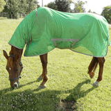 Review of the Bucas Freedom Fly Sheet