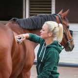 Every Equestrians Must Have Grooming Tools