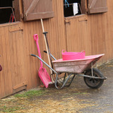 Choosing Horse Bedding