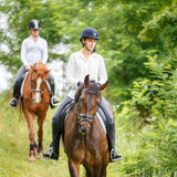 Affordable Equestrian Products