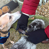 Review of Woof Wear Powerstretch Glove