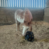 LeMieux Hay Ball Review - Tried & Tested