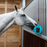 How to Keep a Stabled Horse Entertained