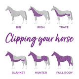 What Clip is Best for My Horse? 