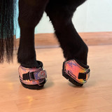 Cavallo Hoof Boots: From Expert Advice to Dinky Adventures