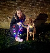 Review of Equi Light LED Dog Lead