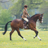 6 steps to competition turnout perfection