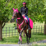 Should You Wear Hi-Vis While Horse Riding This Summer? Be Bright, Be Seen, Be Safe!