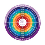 What Weight Rug to Put on Your Horse: Horse Rug Temperature Guide UK