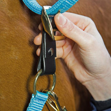 Velociti GARA Headcollar Breakaway Attachment