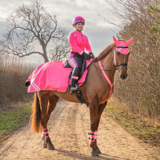 Hy Equestrian Reflector Fleece Exercise Sheet in Pink - lifestyle