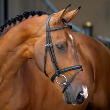RAPIDA Padded Raised Flash Bridle - Black