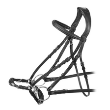 Velociti RAPIDA Drop Noseband Bridle - Black