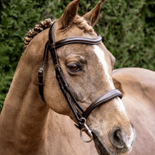 Henry James Saddlery Cavesson Bridle - Lifestyle