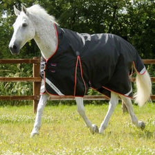 Premier Equine Buster Hardy Turnout Rug with Half Neck 100g in Black