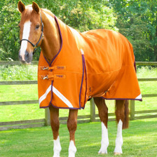 Premier Equine Buster Hardy Turnout Rug with Half Neck 200g in Burnt Orange - lifestyle