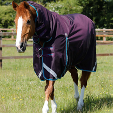 Premier Equine Buster Storm Combo Turnout Rug with Snug-Fit Neck 100g in Purple