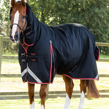 Premier Equine Buster Storm Combo Turnout Rug with Snug-Fit Neck Cover 400g