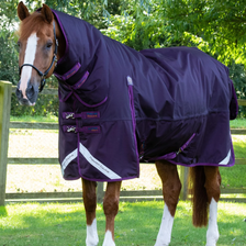 Premier Equine Buster Storm Turnout Rug with Classic Neck Cover 420g in Purple