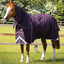 Premier Equine Buster Turnout Rug with Classic Neck 70g in Purple
