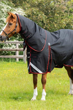 Premier Equine Buster Turnout Rug with Classic Neck Cover 250g in Black - lifestyle