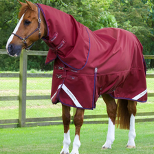 Premier Equine Titan Turnout Rug with Classic Neck Cover 50g in Burgundy