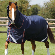 Premier Equine Titan Turnout Rug with Snug-Fit Neck Cover 100g in Navy