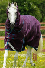 Premier Equine Titan Turnout Rug with Snug-Fit Neck Cover 200g in Purple - lifestyle