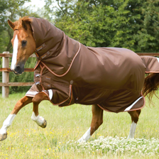 Premier Equine Titan Turnout Rug with Snug-Fit Neck Cover 300g in Brown