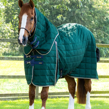 Premier Equine Lucanta Stable Rug with Neck Cover 200g in Green