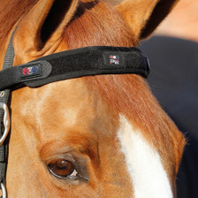 Premier Equine Bi-Polar Magni-Teque Browband in Black - front