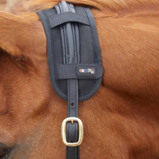Premier Equine Bi-Polar Magni-Teque Poll Band in Black - on headcollar