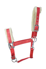 Hy Equestrian Christmas Santa Headcollar in Red