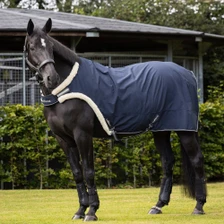 LeMieux Walker Rug - Navy - Lifestyle 1