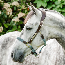 Horseware Signature Braided Headcollar - Brown/Navy & Blue Haze
